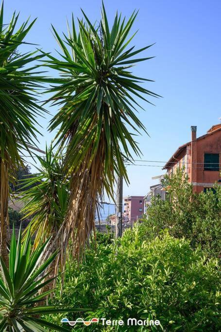 Nettuno, Terremarine Apartment Monterosso al Mare Luaran gambar